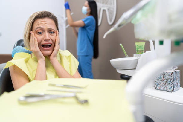 Best Emergency Dental Care for Broken or Chipped Teeth in Lazy Mountain, AK